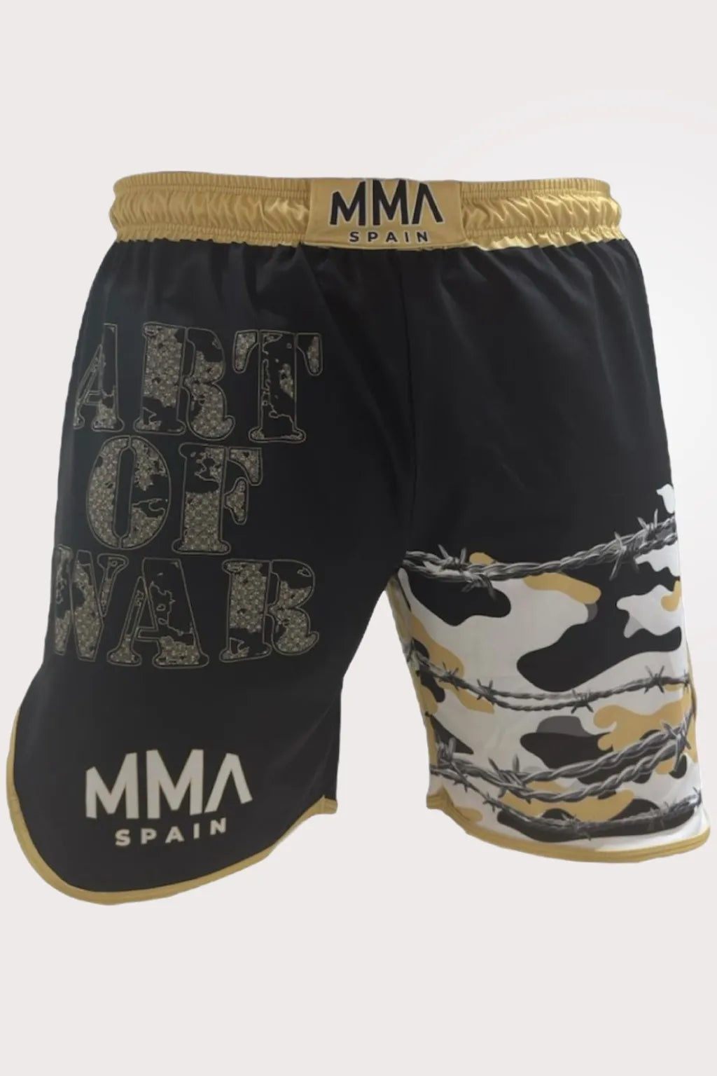 MMA Short Film "Art of War"