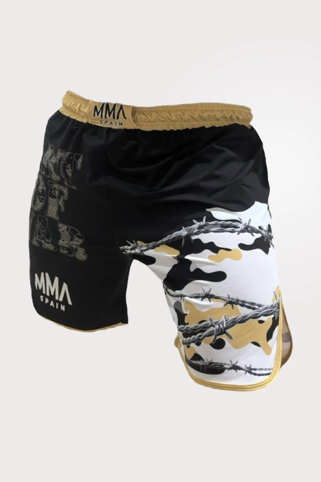 MMA Short Film "Art of War"