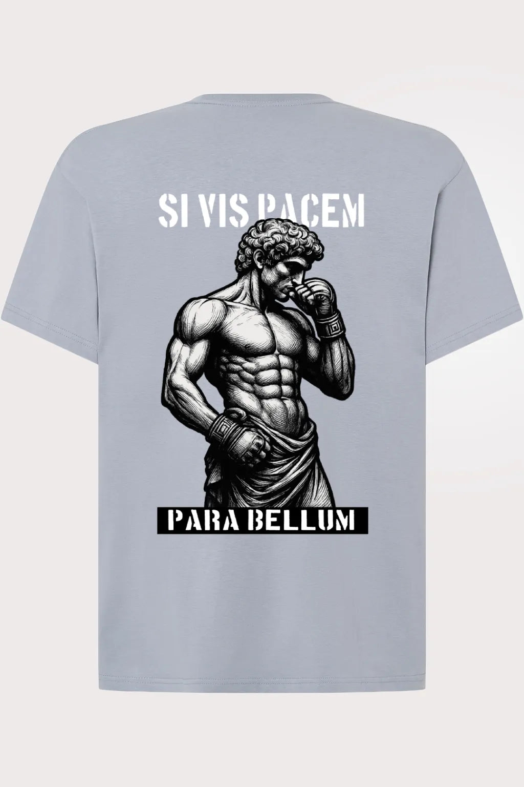 Camiseta PARABELLUM