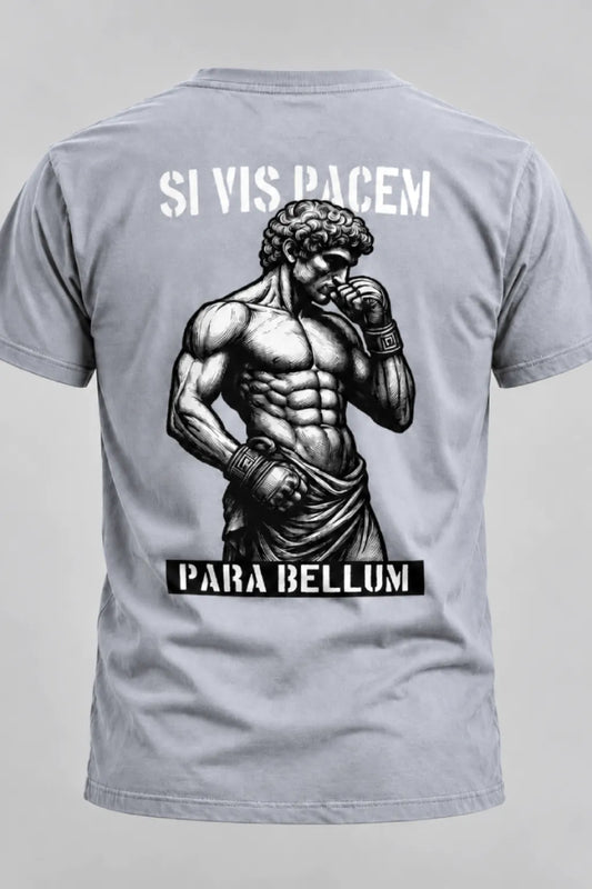Camiseta PARABELLUM